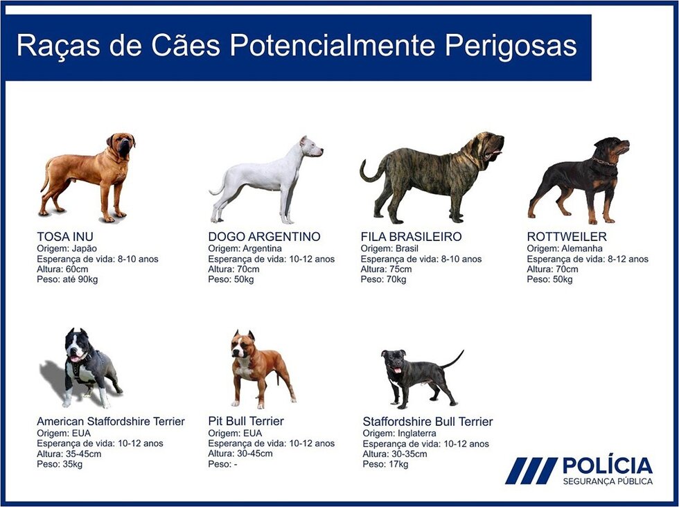 SMV_Raças_Cães_Potencialmente_Perigosas