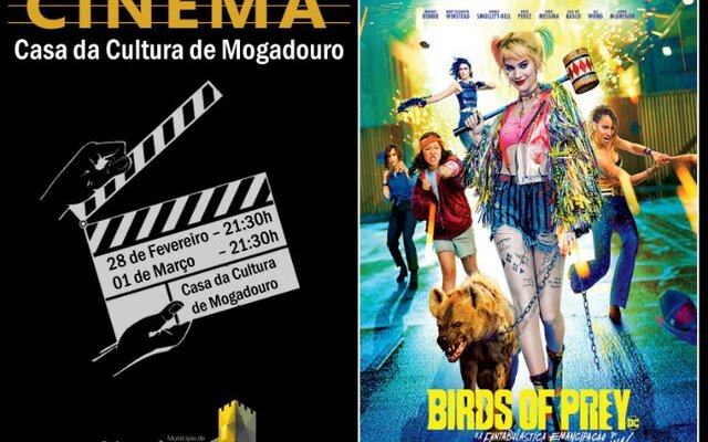 cine_birds_20