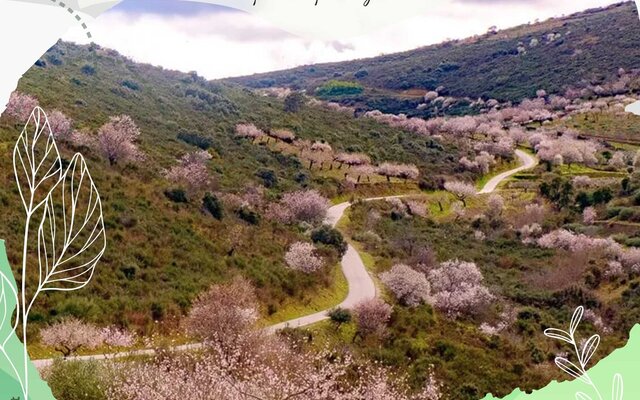 caminhada_alfandega_da_fe_i__1_