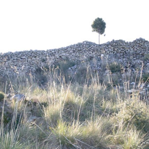 Vilarinho dos galegos - castros de v. g. (3)