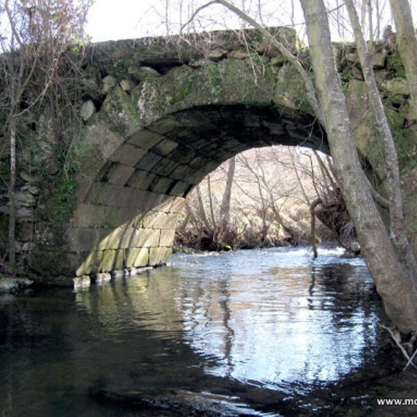 S. martinho do peso - ponte gamona