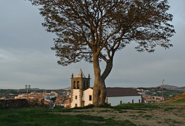 arvorecastelo1