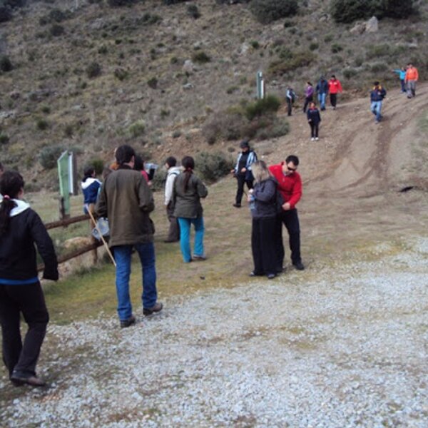 Caminh 03 11 1268