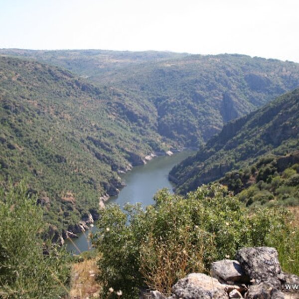 Vilarinho dos galegos - arribas do douro (1)