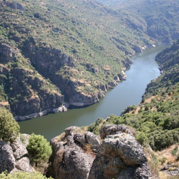 Vilarinho dos galegos - arribas do douro (2)