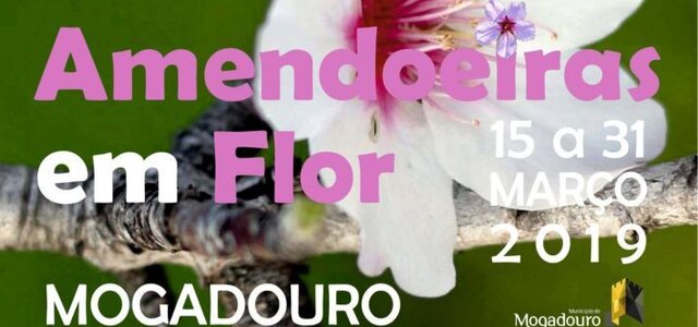 amend_flor_2019