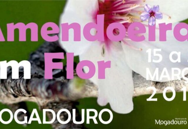 amend_flor_2019