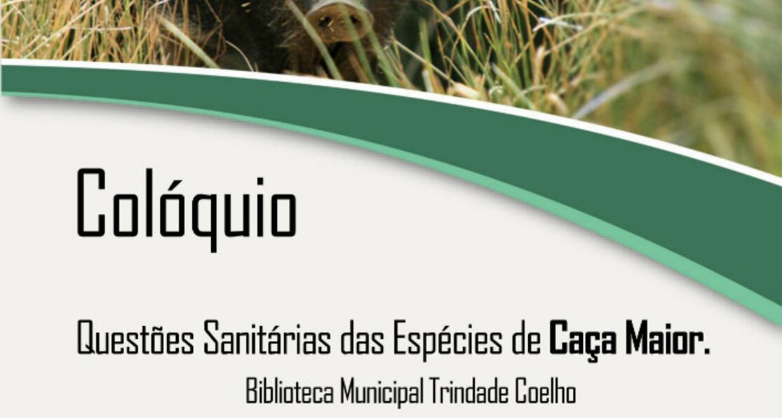 Cartaz_Mogadouro