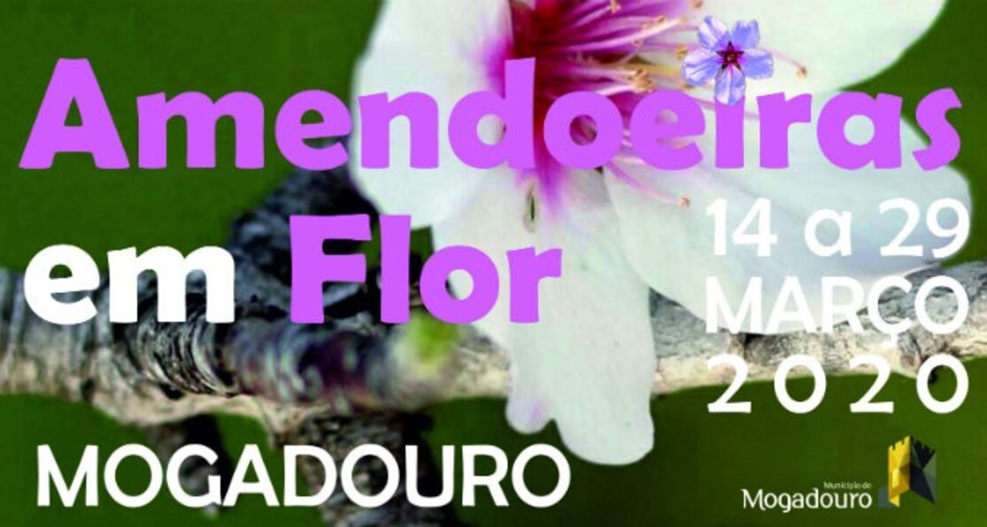 amend_flor_20