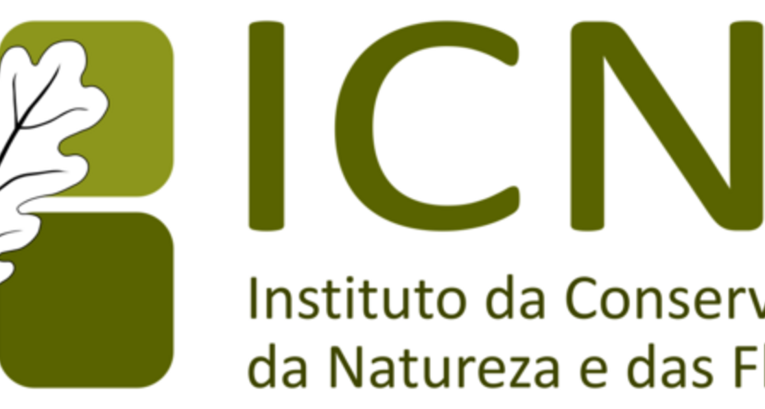 icnf_logo