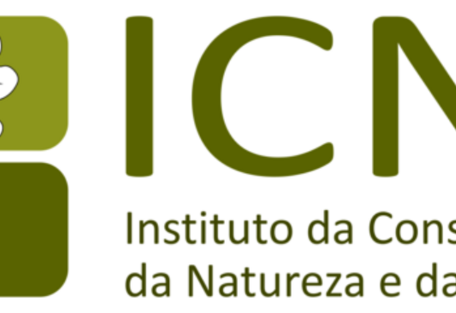 icnf_logo