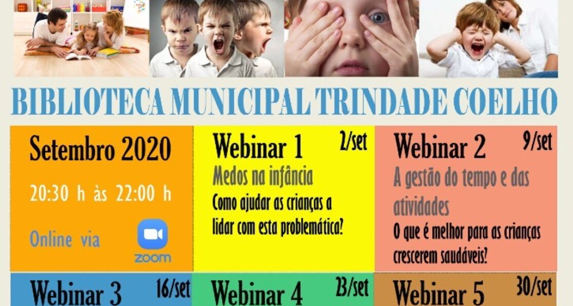 ciclo_webinars