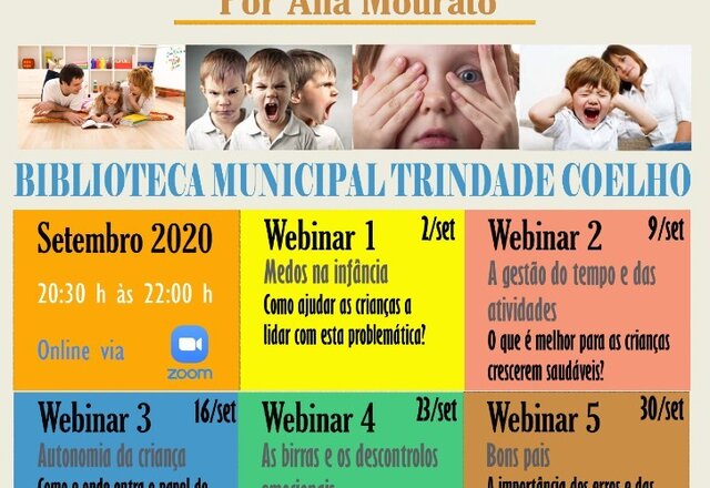ciclo_webinars