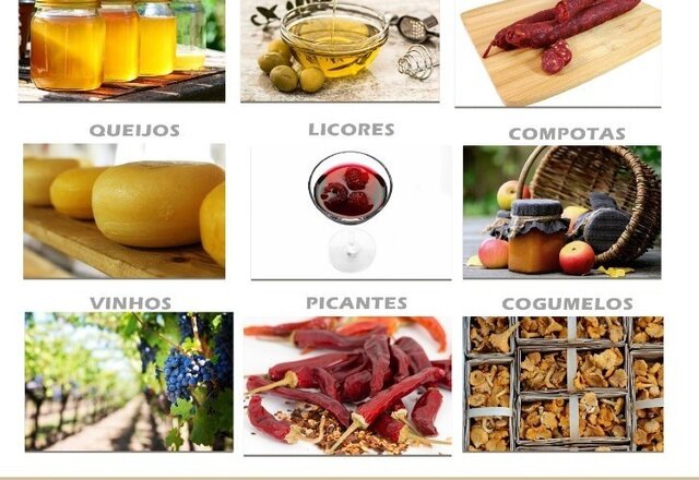 mogadouro_1_980_2500
