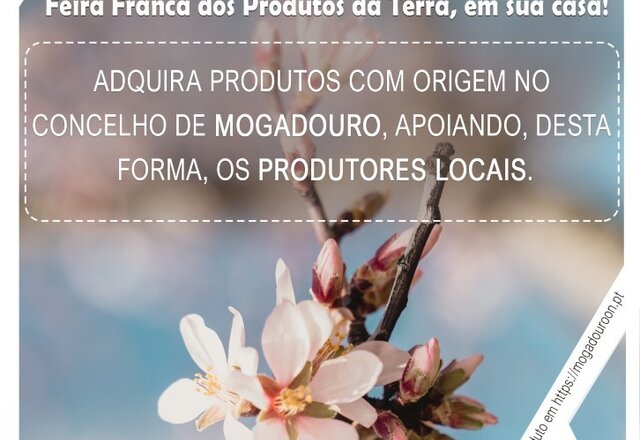 flyer_amendoeiras_em_flor_2021