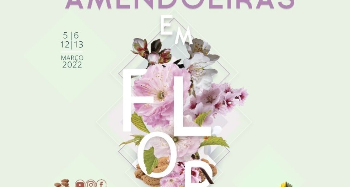 amendoeiras_flor_2022