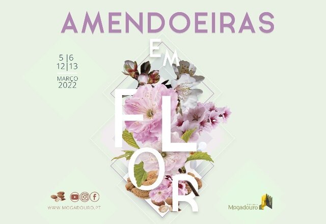 amendoeiras_flor_2022