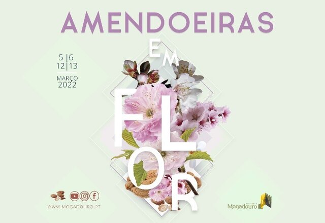 amendoeiras_flor_2022