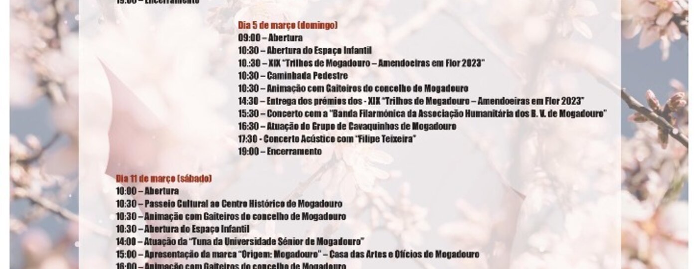 amendoeiras_flor_progr_2023