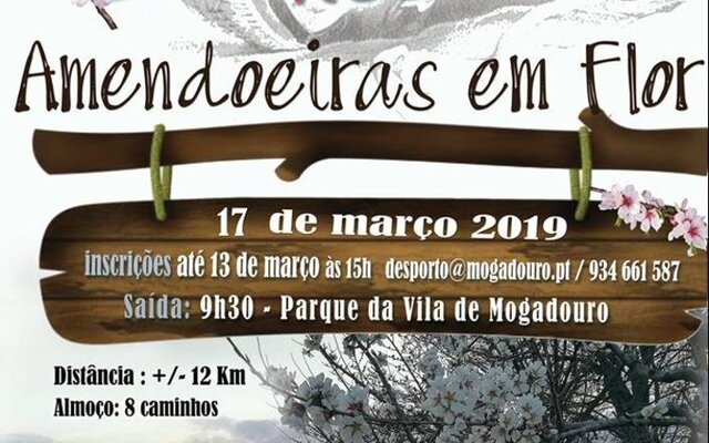 Caminhada mensal mgd 19 1 640 400