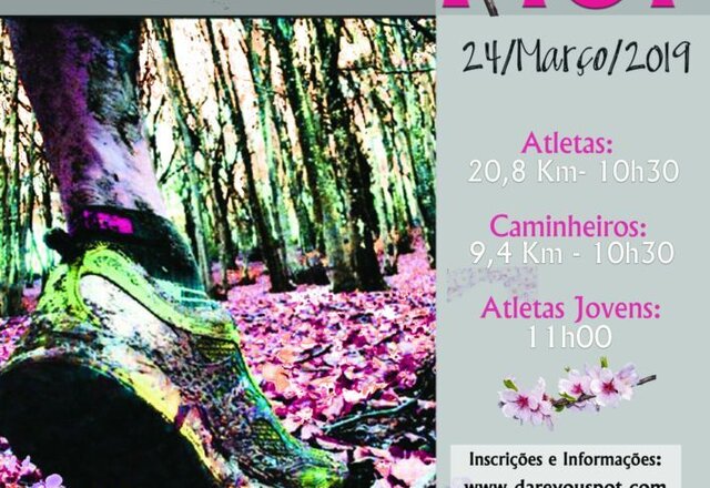 17 trilhos mgd 19 1 640 440