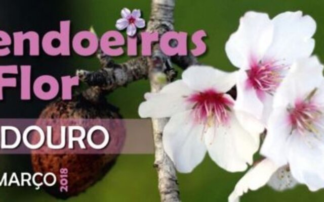 Newsletter 03 2018 1 640 400