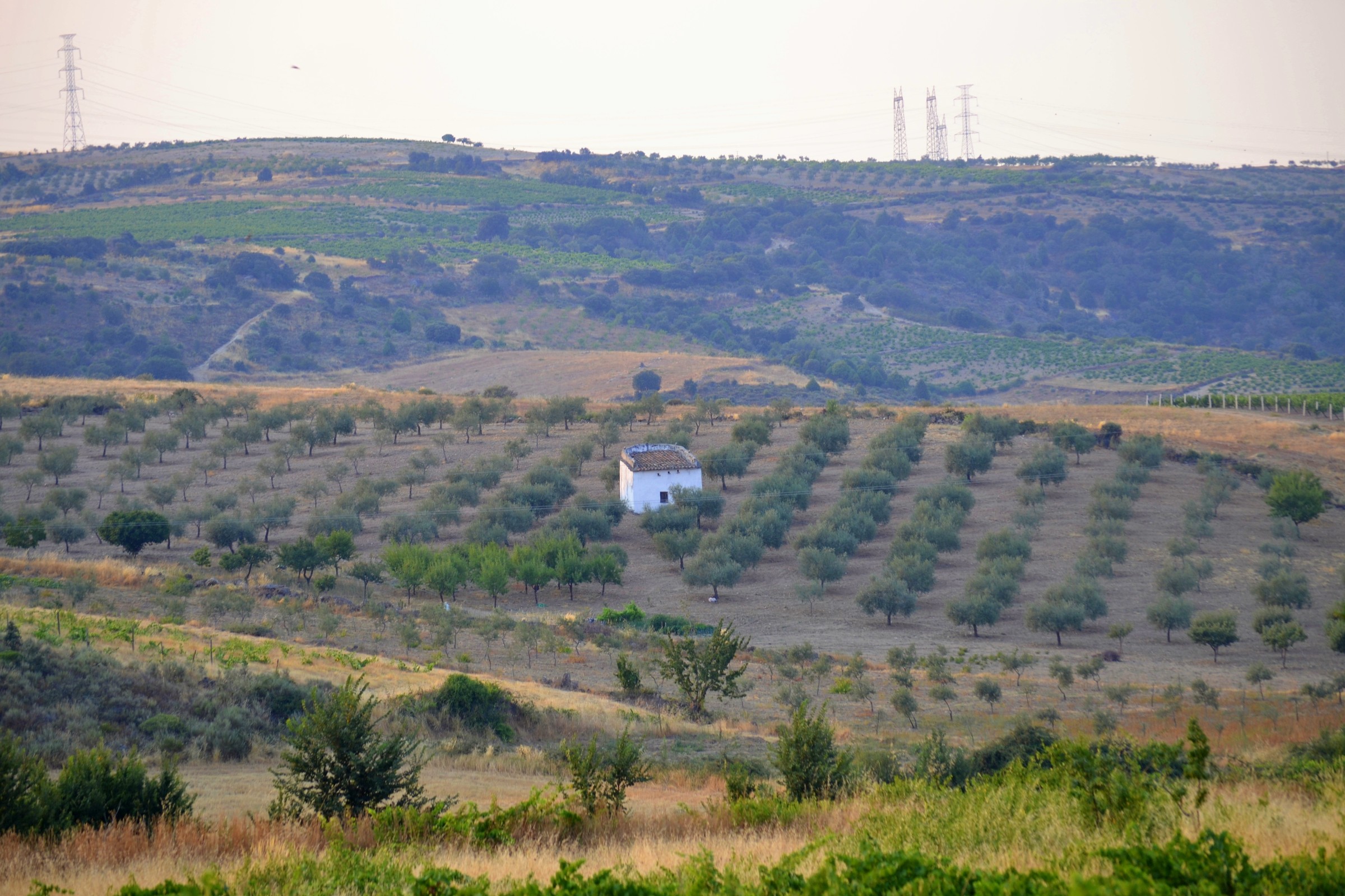 Peredo da Bemposta