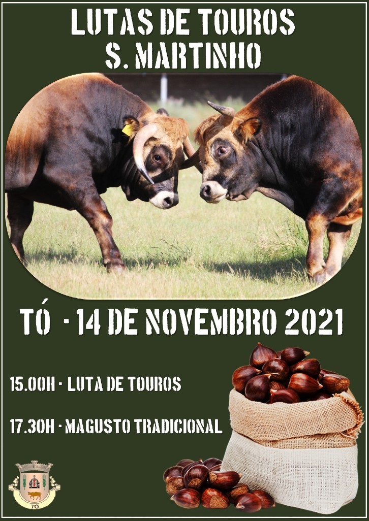 Achega de touros to 2021 1 980 2500