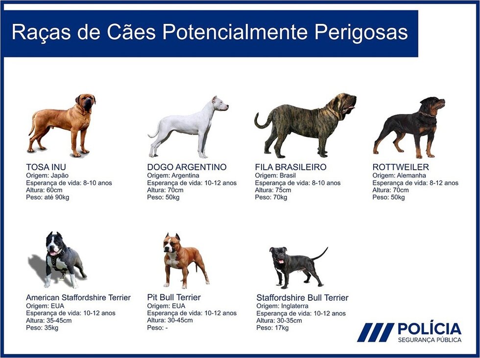 SMV_Raças_Cães_Potencialmente_Perigosas