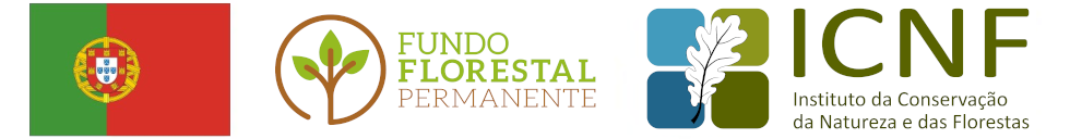 Fundo Florestal Permanente