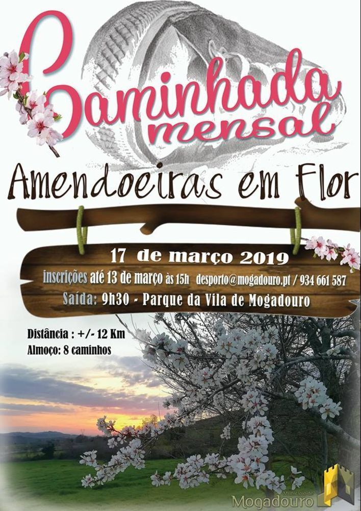 Caminhada mensal mgd 19 1 980 2500