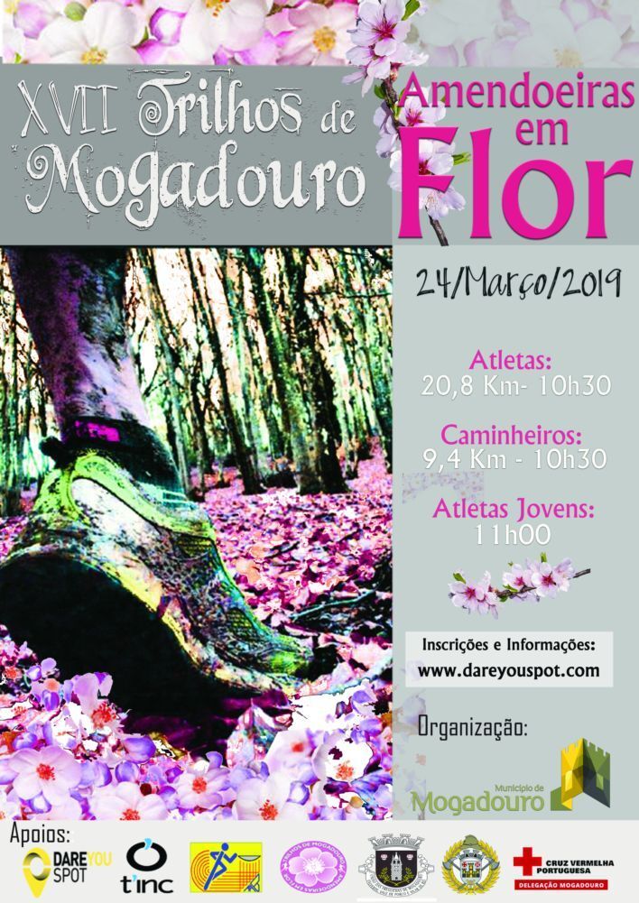 17 trilhos mgd 19 1 980 2500